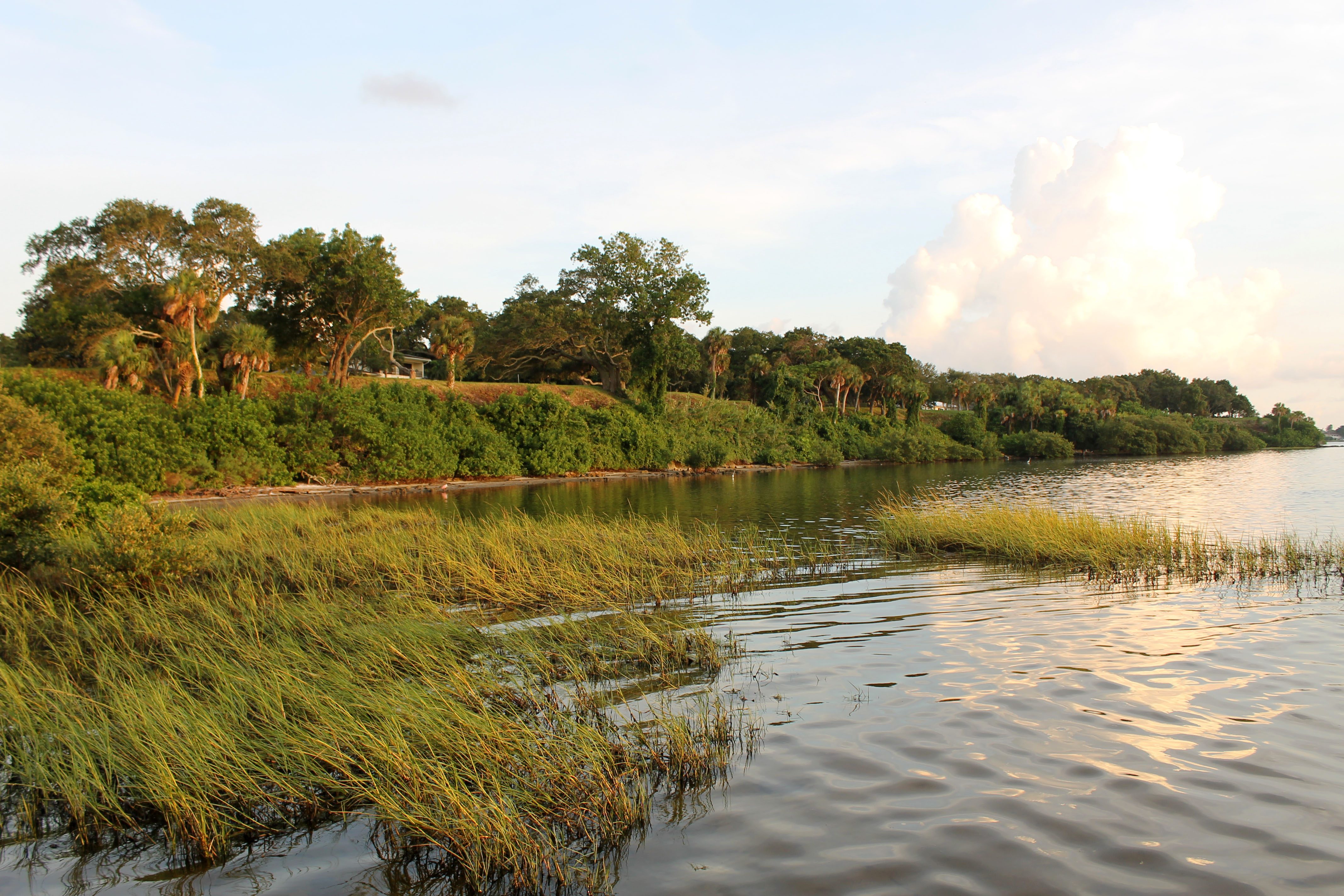 A view from the northern end of Hallett Park looking south over the water during sunset