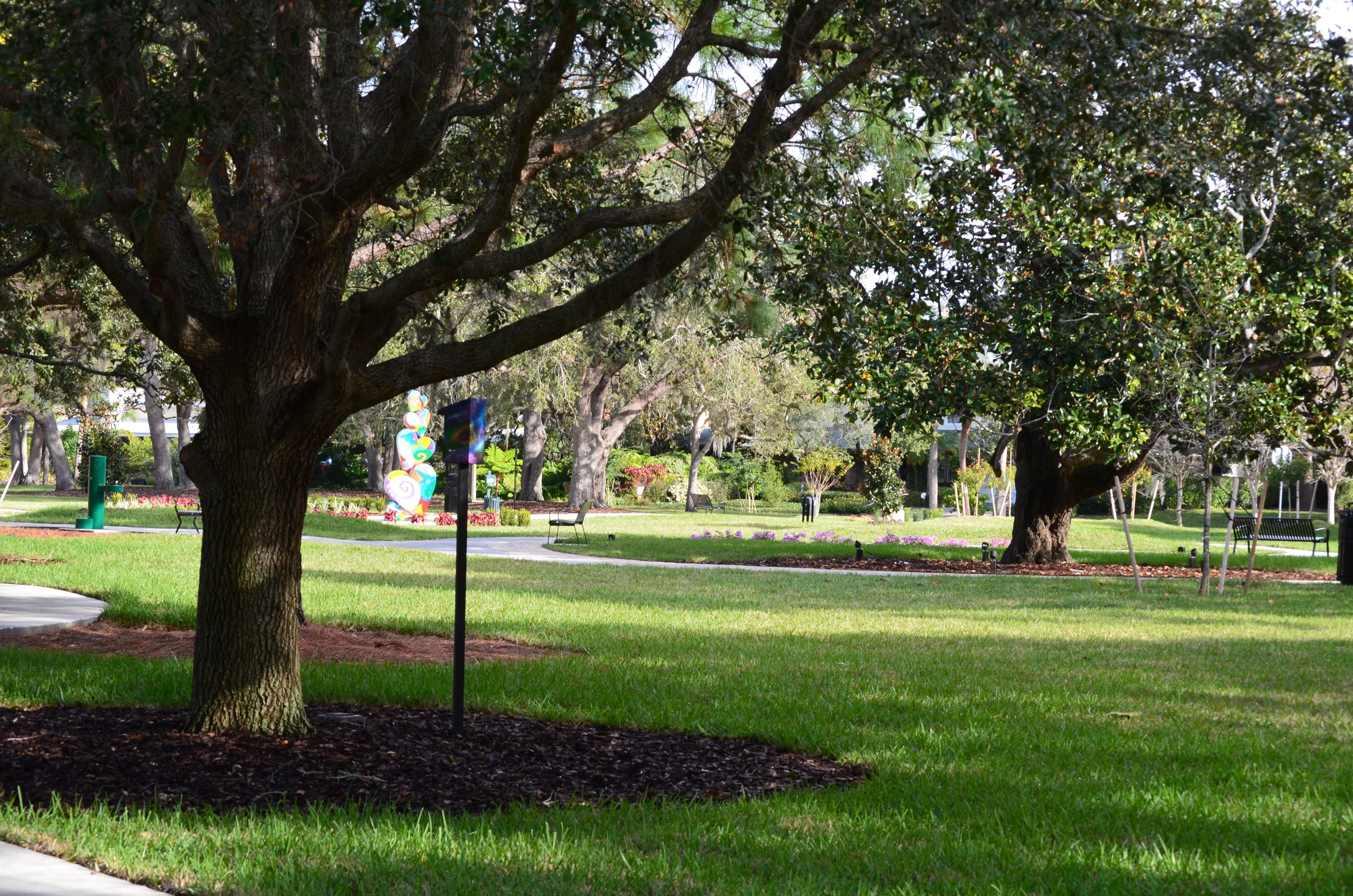 A view of Doyle Park that focuses on an oak tree with grassy spaces in the background