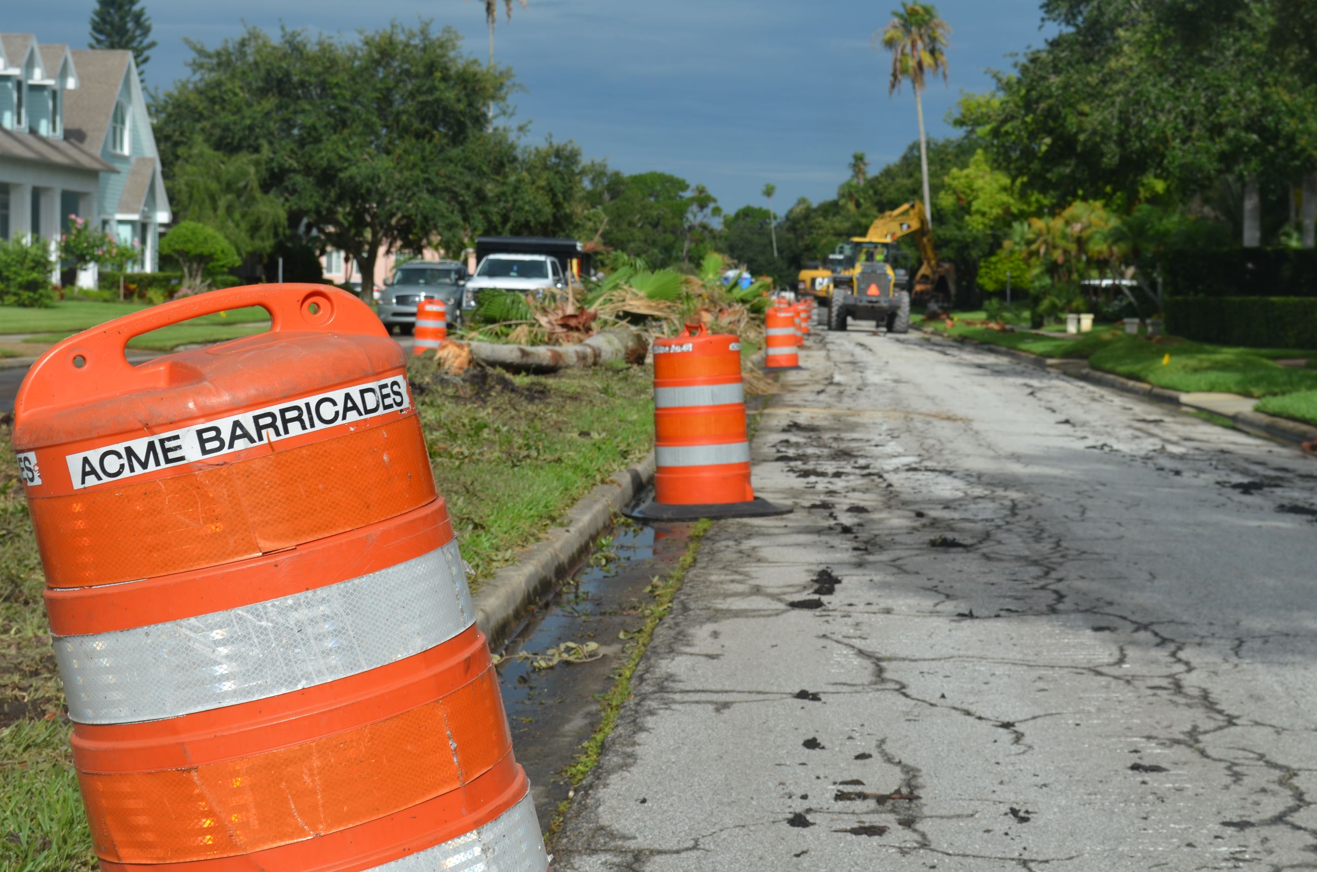 Contractors removing trees along Ponce de Leon Boulevard and placing vegetation inside the center me