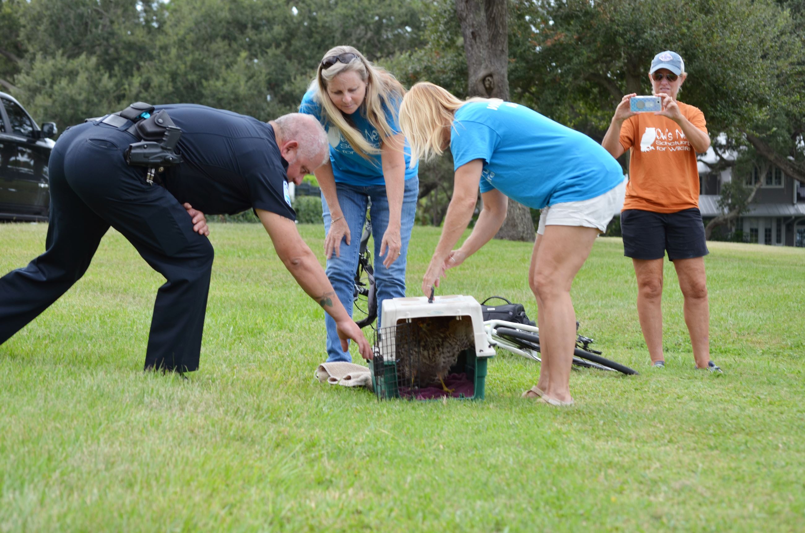 Belleair Police Officer partners with residents to release a rehabilitated hawk back into Belleai