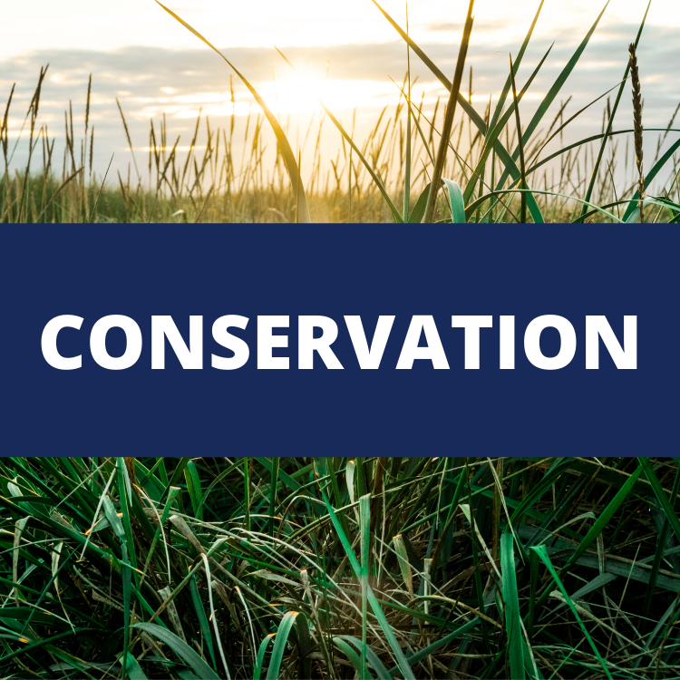 Redirect page to Conservation