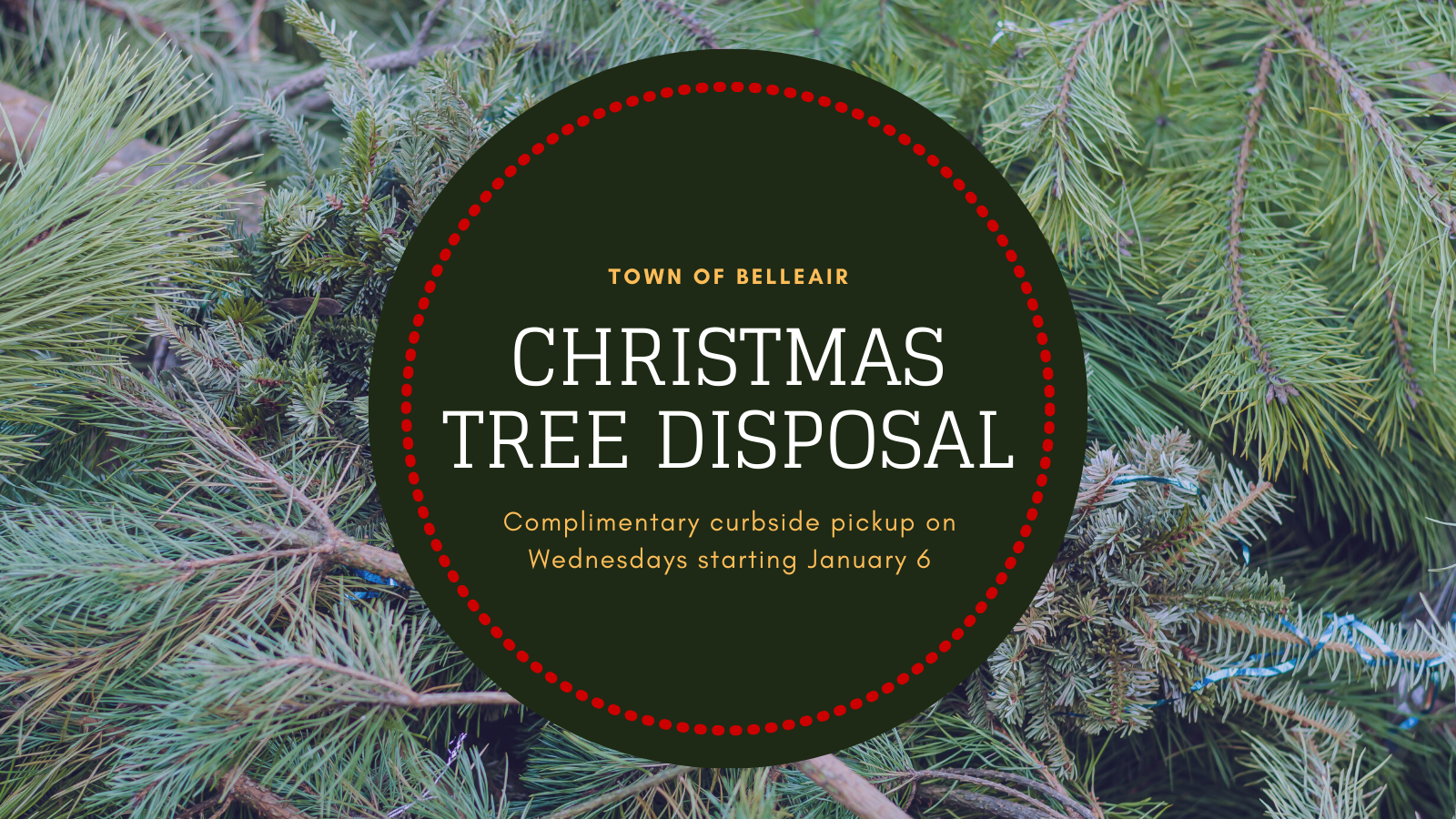 Belleair Christmas Tree Disposal - Complimentary curbside pickup on Wednesdays starting 1/6