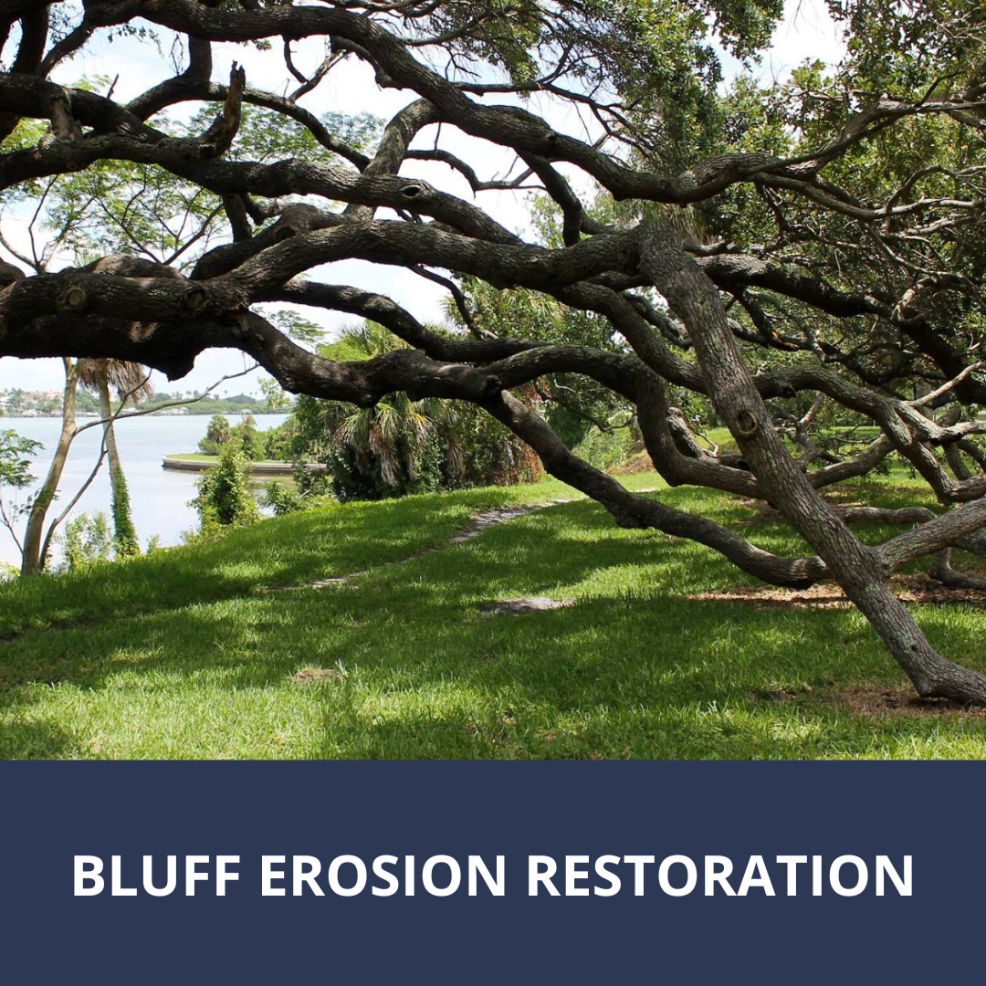 Click here for more information about the Bluff Erosion Restoration project