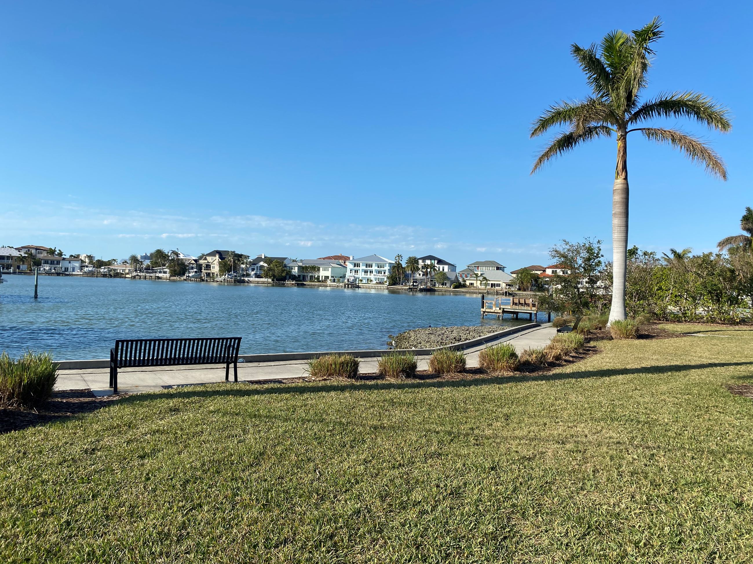 A view of the ocean is seen beyond a black bench and a palm tree in Winston Park